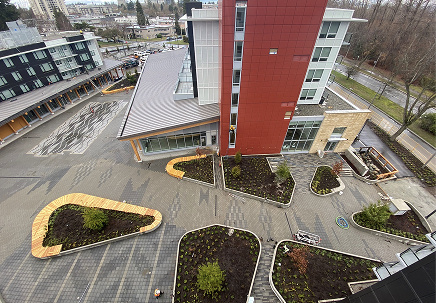 Walking with Our Ancestors